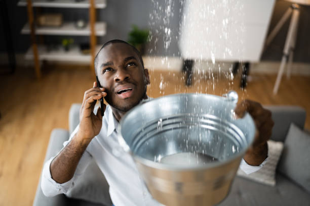 Best Water damage restoration near me  in Neptune Beach, FL