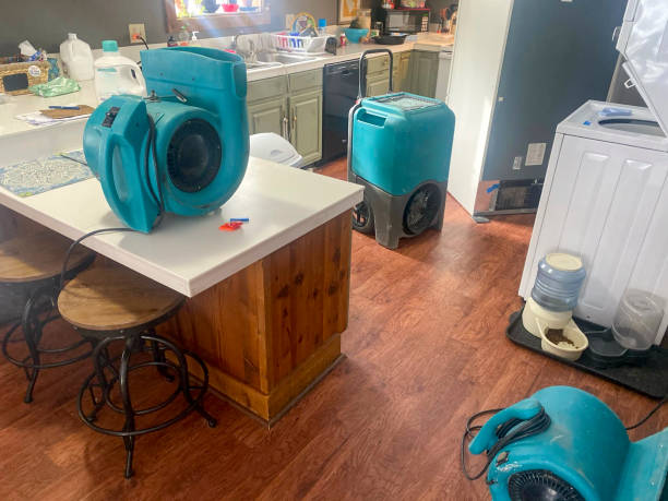 Best Commercial water damage restoration  in Neptune Beach, FL