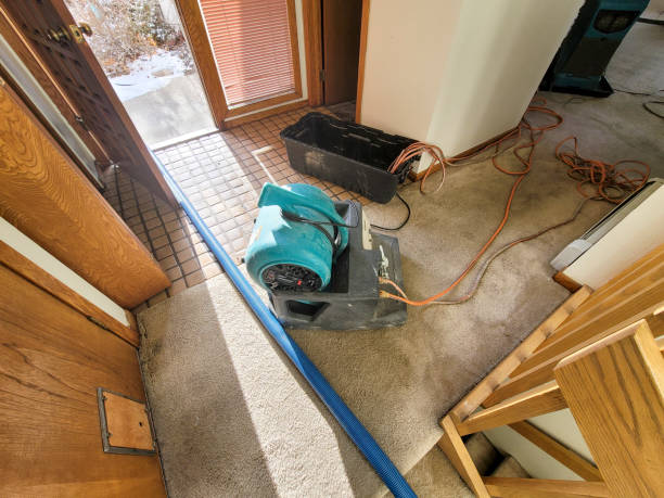 Local water damage restoration in Neptune Beach, FL