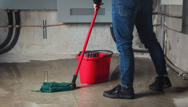Best Ceiling water damage repair  in Neptune Beach, FL