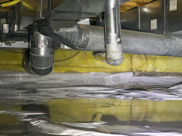 Best Water damage cleanup near me  in Neptune Beach, FL