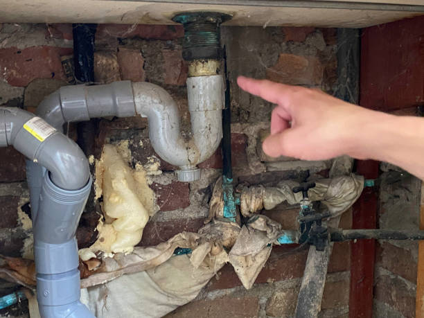 Best 24/7 water damage repair  in Neptune Beach, FL